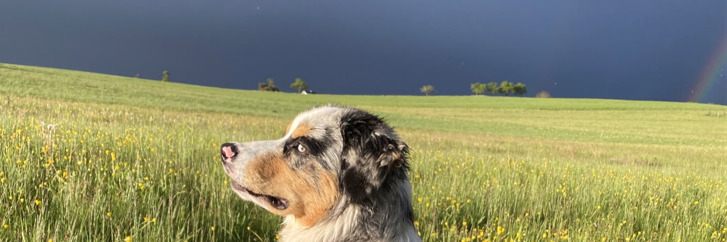 Timoflt's profile banner image