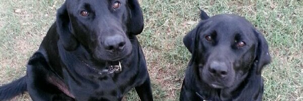 JustSpitballing Profile Banner