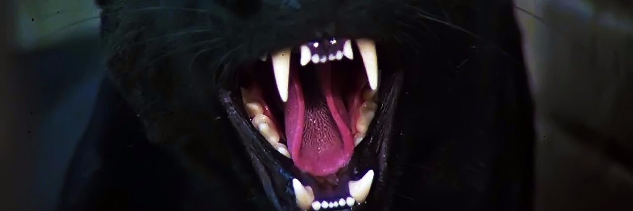 ashubombA's profile banner image