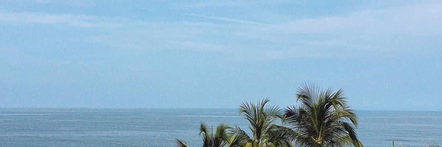 aleovaru's profile banner image