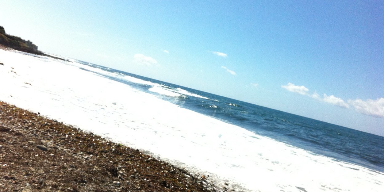 Rossella Santilli banner