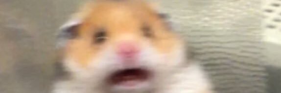 brookesscript's profile banner image