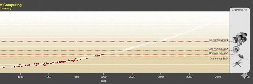 Gianluca Bonifazi banner