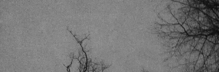 ForerooSanchez's profile banner image