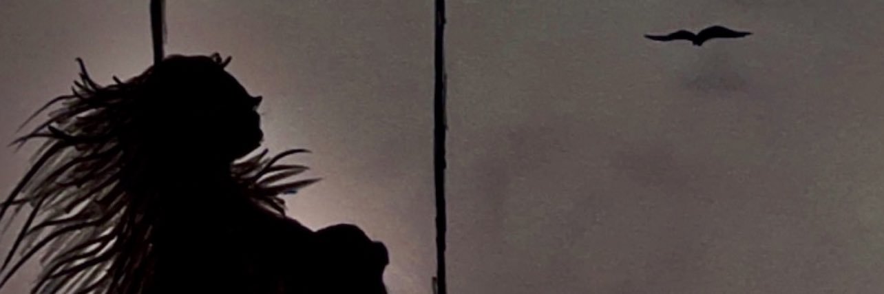 ZainabAAlsayed's profile banner image