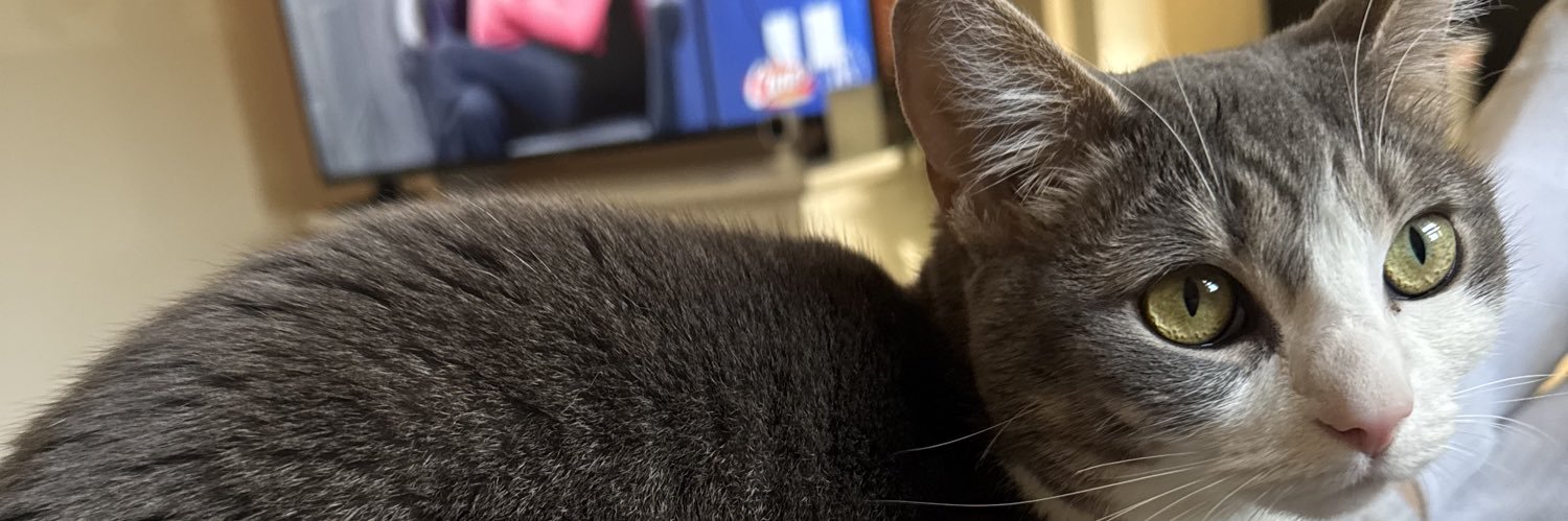 stuart764's profile banner image