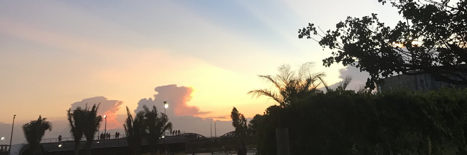 henriqueriedel's profile banner image