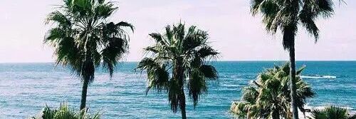 lopezc_daniela's profile banner image