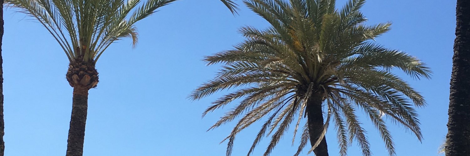IanDaly90's profile banner image