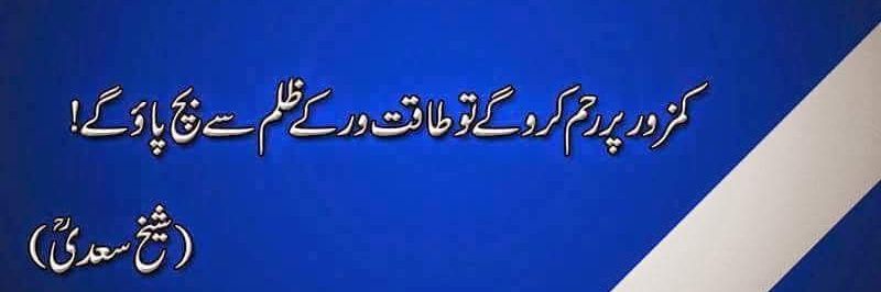 PPP_Karachi banner