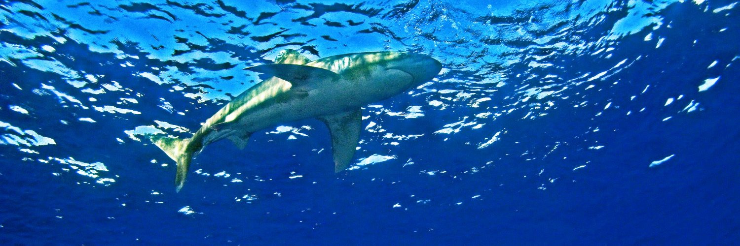gill8_brian's profile banner image