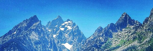 ZofiaKozak1 Profile Banner