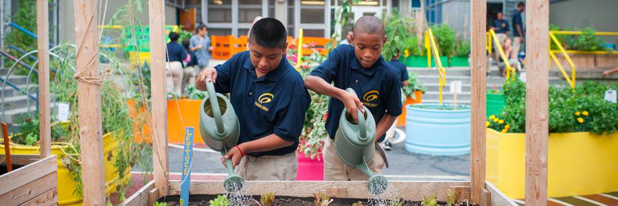 EdibleSchoolyardNYC banner