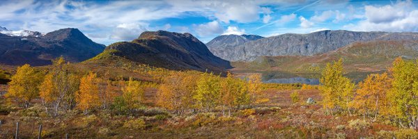 rsamdal Profile Banner