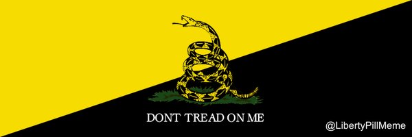LibertyPillMeme Profile Banner