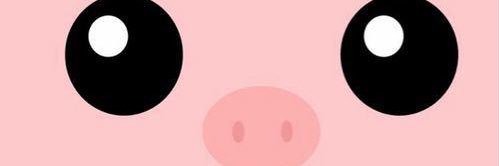 AngelaMaroba's profile banner image
