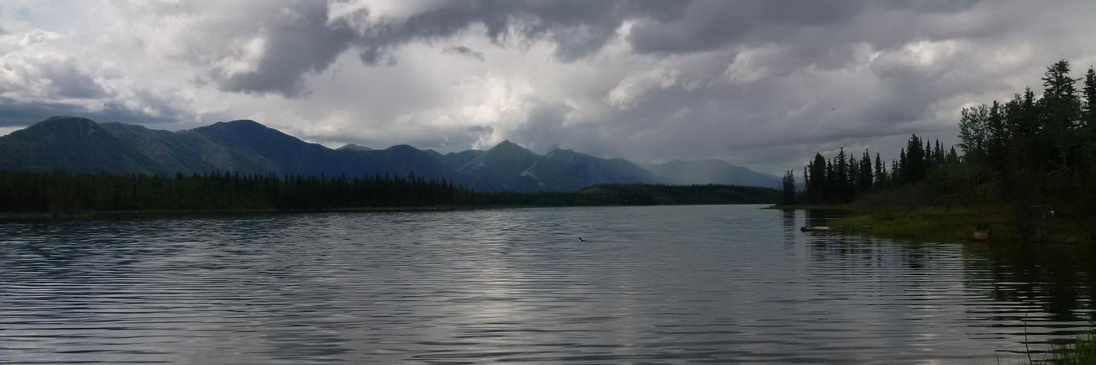 Trevor Seibel banner