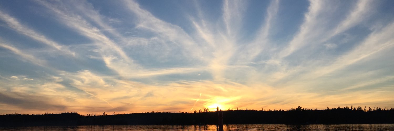 CarrieWarring's profile banner image