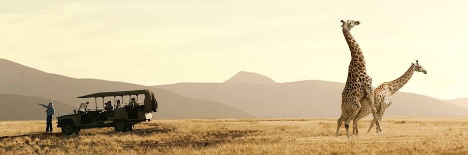 furrolt_'s profile banner image