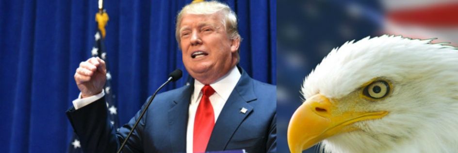 trump_first's profile banner image