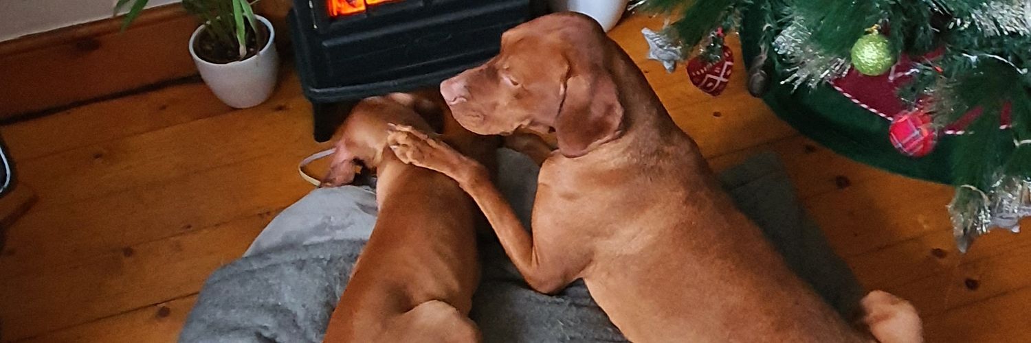 RichCroakes's profile banner image