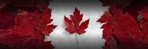 Patrick 'Lucinkevich' Luckie banner