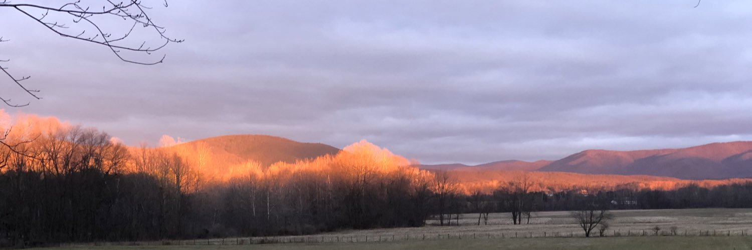 Born To Delete banner