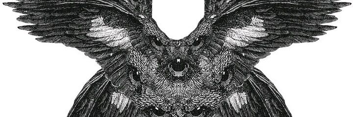 Nephidi's profile banner image