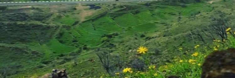 د. ابراهيم الجعفري banner