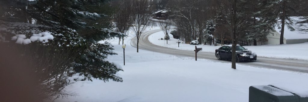TheRexMax's profile banner image