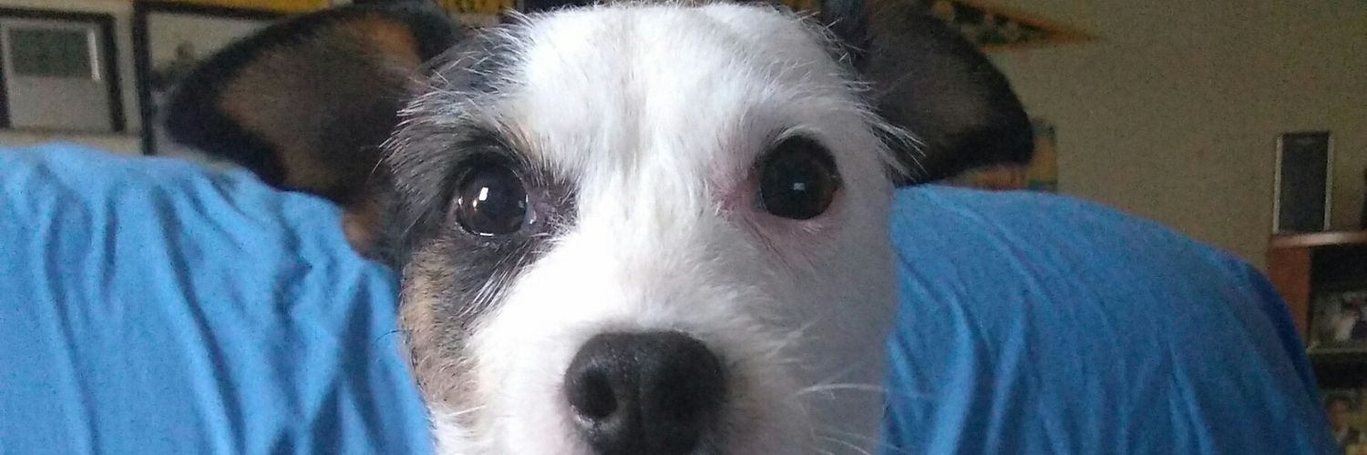 AthleteMH's profile banner image