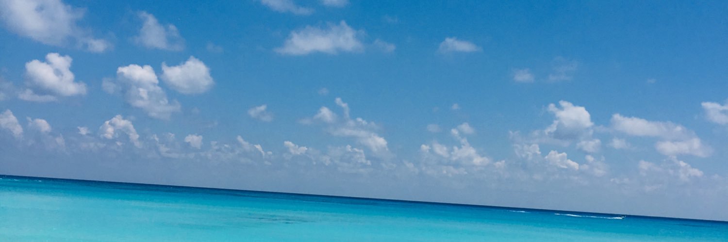 _mimiiaw's profile banner image