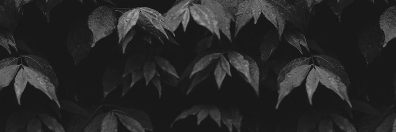 stevehub920's profile banner image
