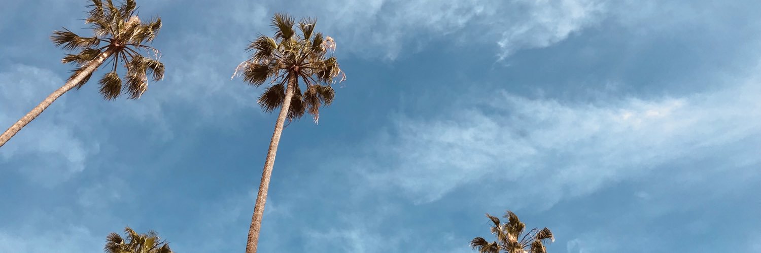 mbraxo's profile banner image