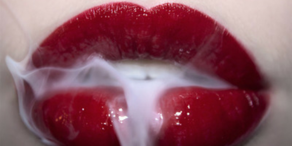 _bibialopes's profile banner image