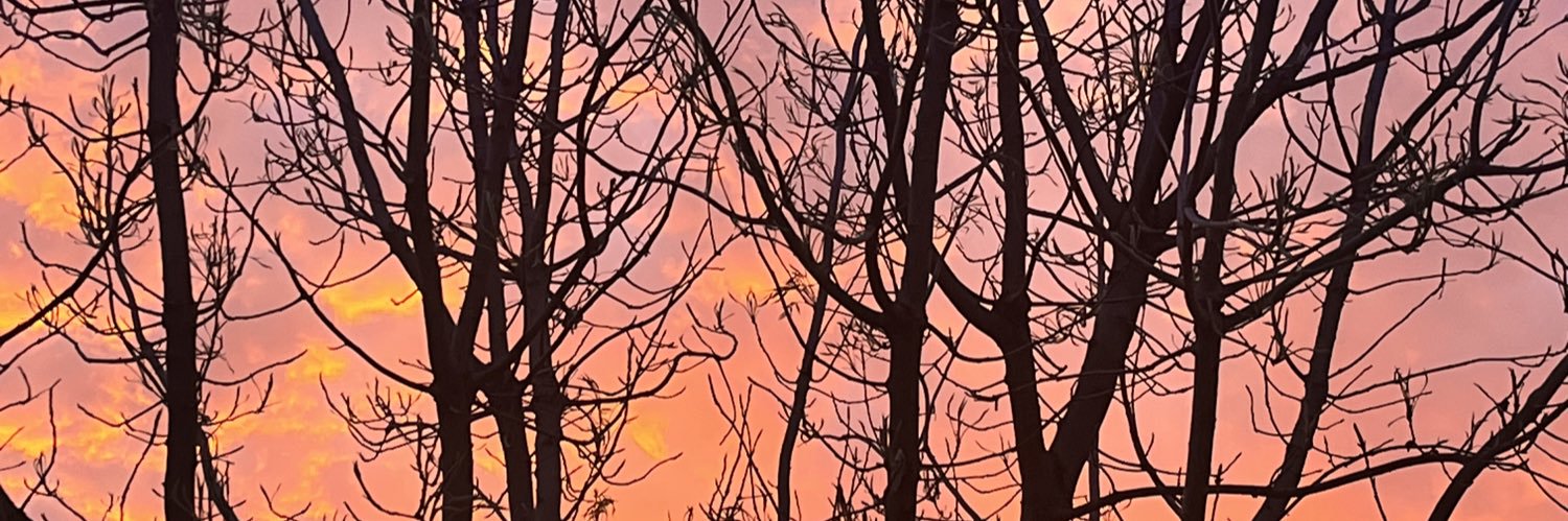 JoniJohnson28's profile banner image