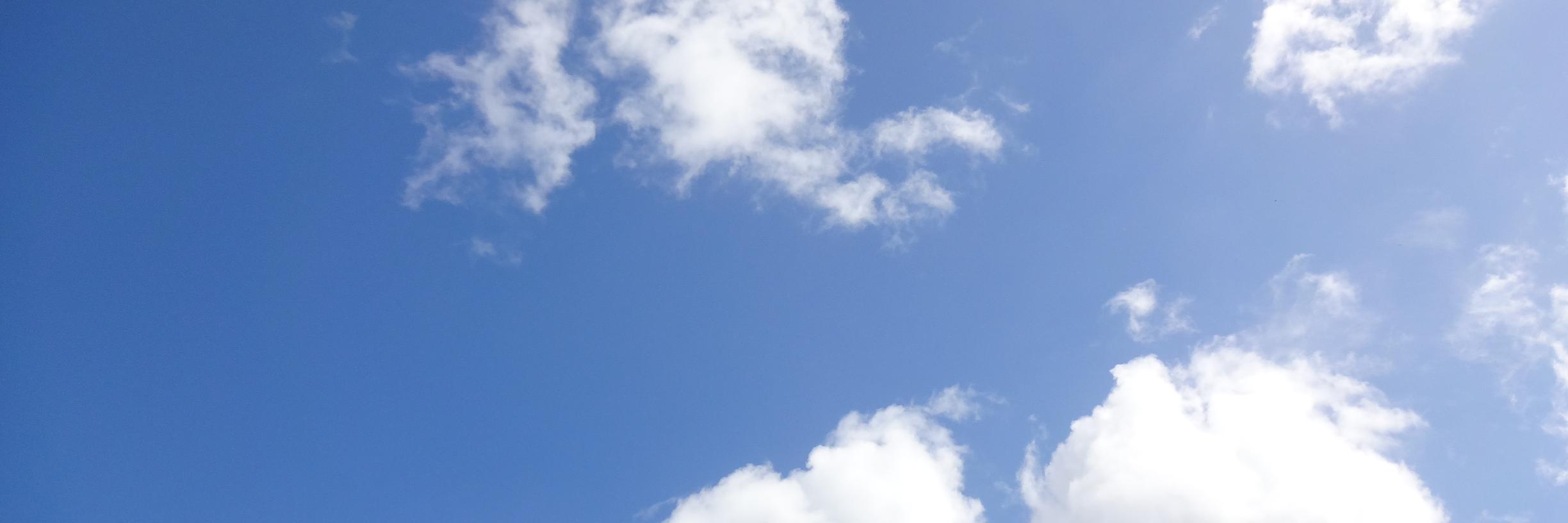 enu_enu (neko) banner