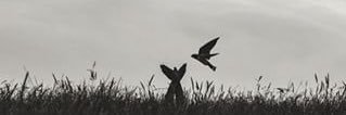 ee_ss_a's profile banner image