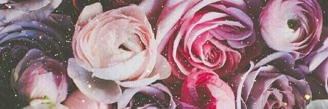 sassyjonie's profile banner image