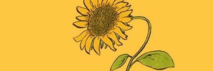 cwhitmeyer's profile banner image