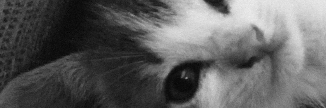 vaalensanchez99's profile banner image