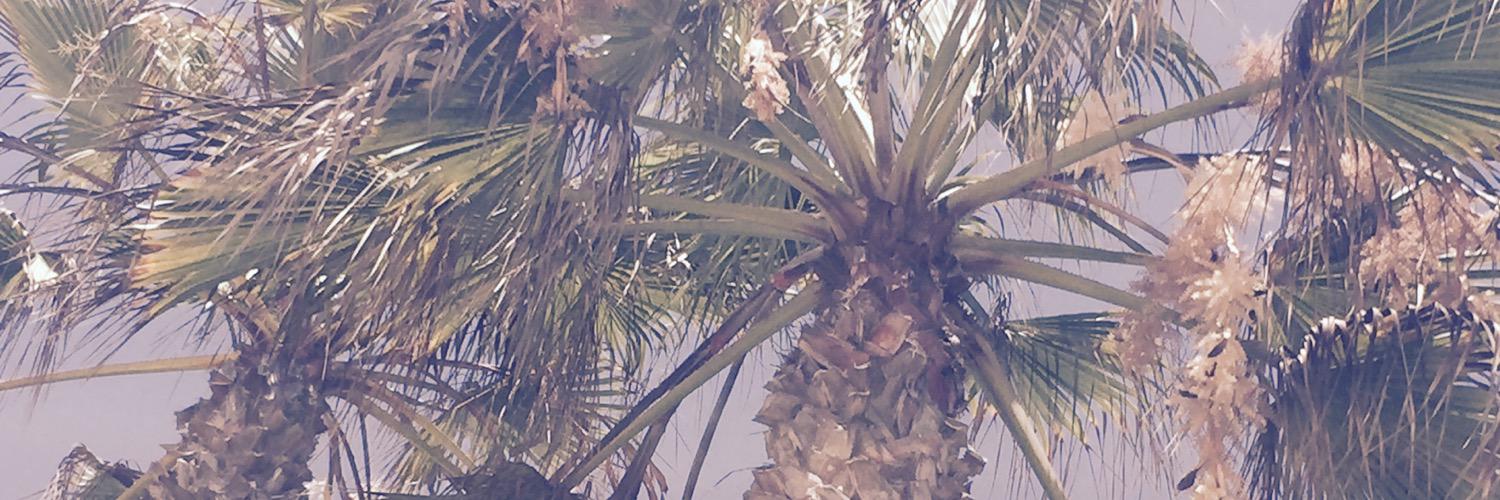 minimarais's profile banner image