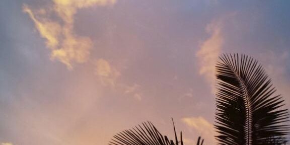 Neider Alegría Ruiz banner