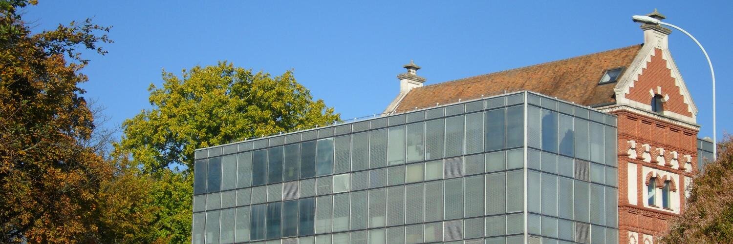 Lycée International ALUMNI banner