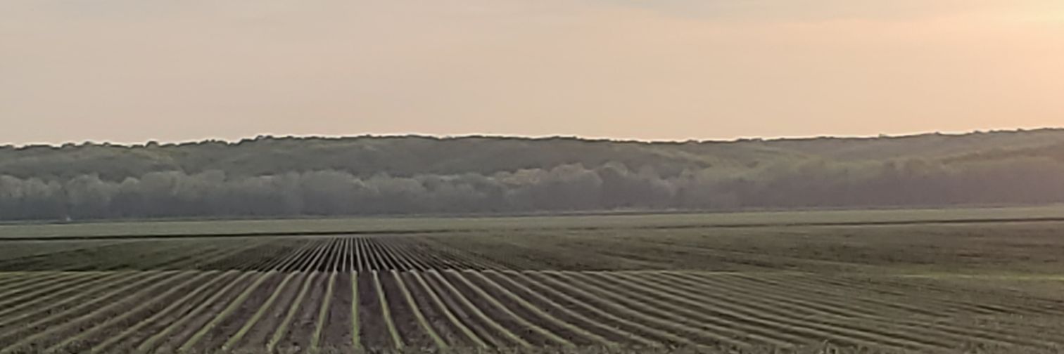 ColtonLacina's profile banner image