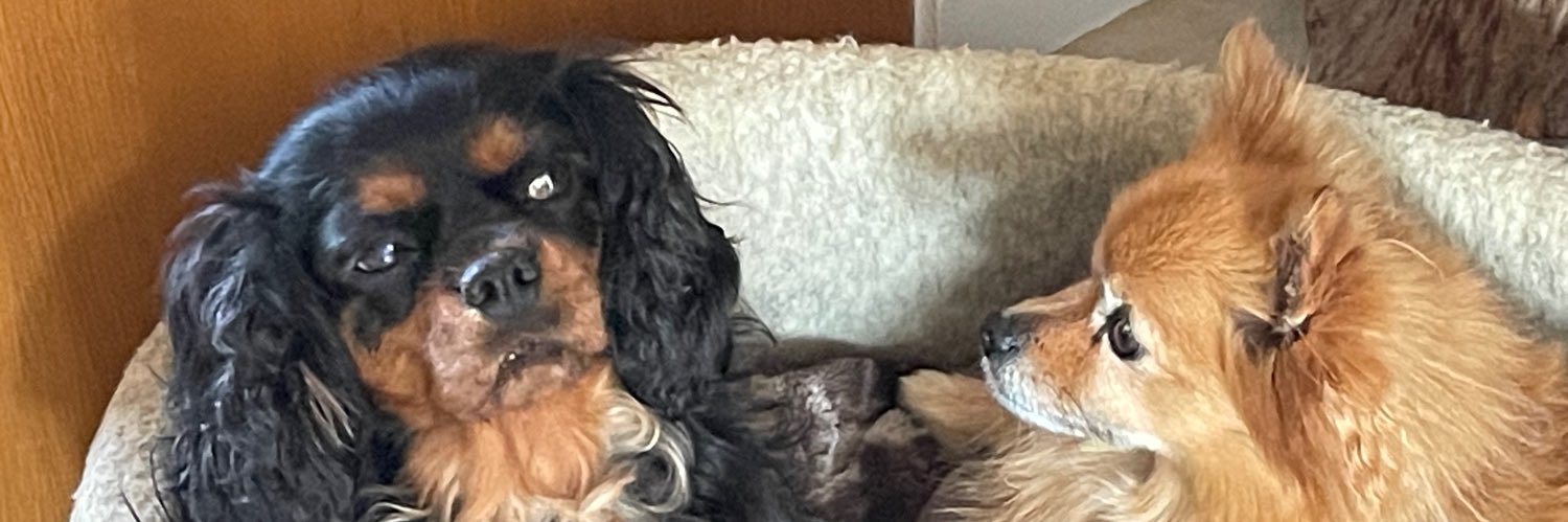 Barry Chambers banner