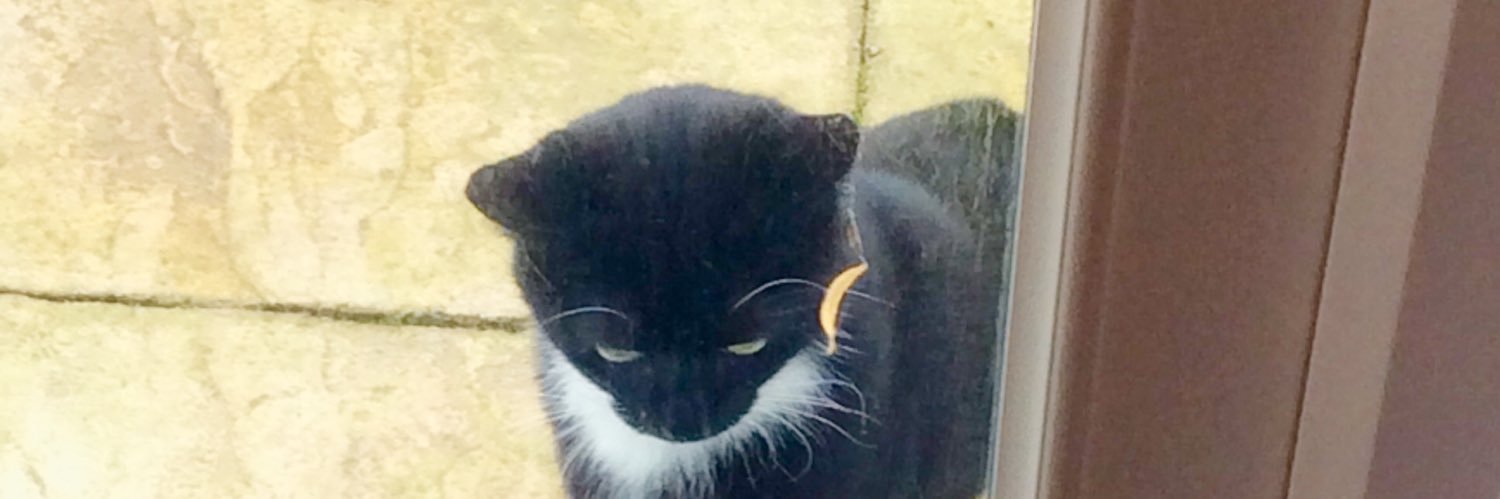 BAZ448's profile banner image