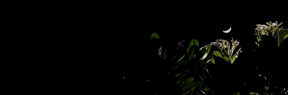 sh__m181's profile banner image
