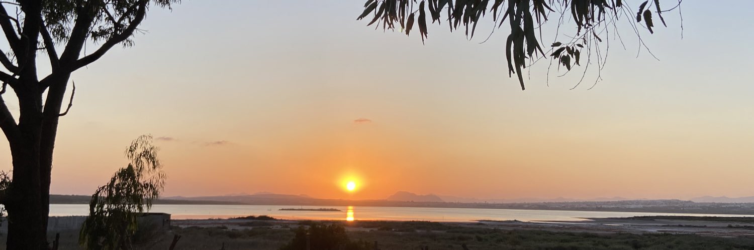 Djibe ☀️ banner