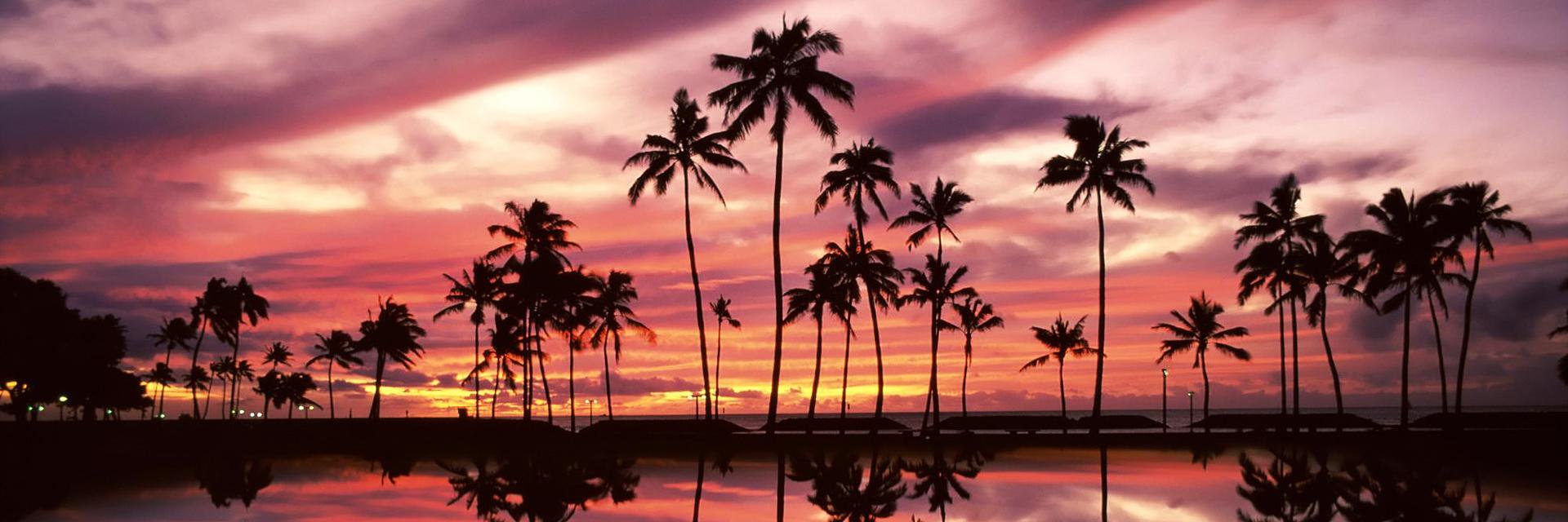 LiamsTea's profile banner image